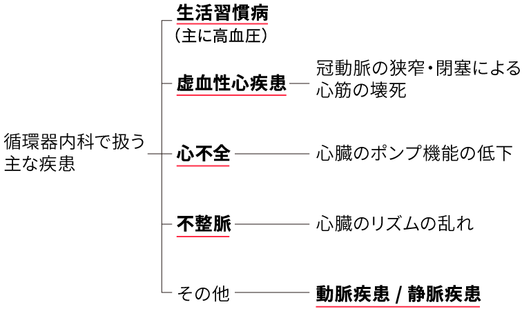 循環器内科で扱う主な疾患画像